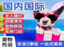 若羌楼兰空运地址国际宠物托运 【国